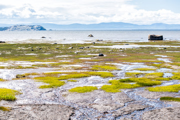 Saint Lawrence river beach in Kamouraska, Quebec, Canada with grass, shallow water and puddles, and large rock boulders