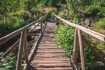 Old Wooden Bridge in Forest in Velicka Valley Leading to Gerlachovsky Peak, High Tatras, Slovakia