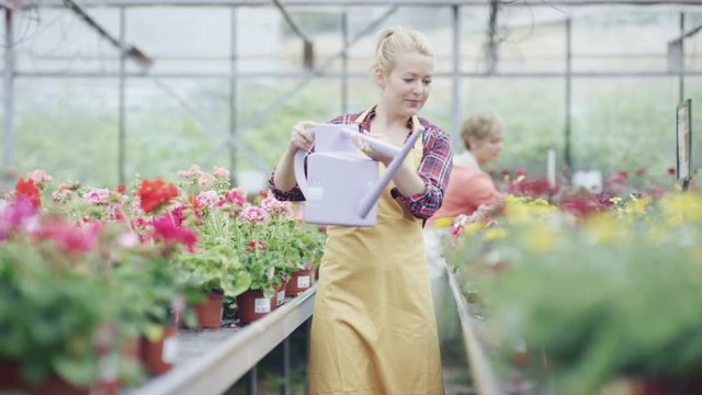  Cheerful worker in garden center greenhouse watering rows of plants