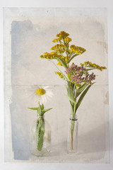 the Vintage card. the solidago canadensis, daisy and sedum, on grey background