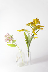 solidago canadensis and sedum in the bottles , on grey background