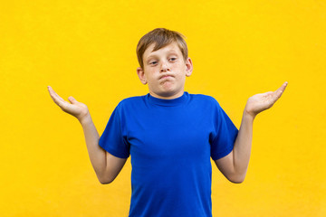 Its no my problem. Young boy with freckles looking at camera with puzzled look