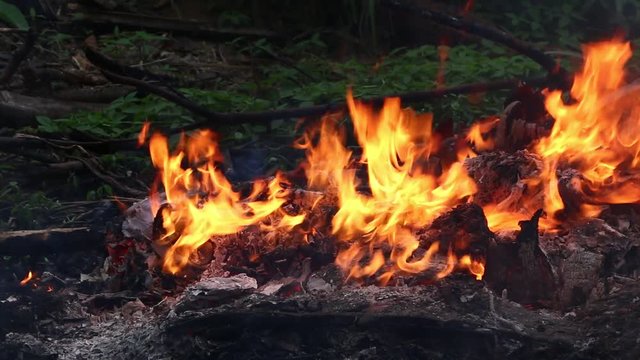 Fire Burns with moving flames and smoke
