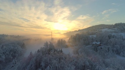AERIAL: Flying over frozen snowy treetops towards countryside town an misty sunrise. Golden sun rising behind icy mixed forest covered in morning fog and snow in cold winter. Stunning winter landscape - Powered by Adobe