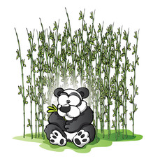 panda bear 2