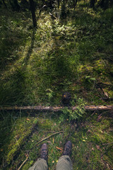High angle view of legs and feet in forest.