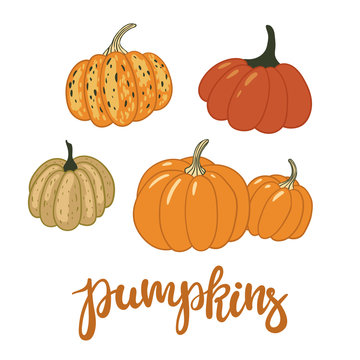 Set of pumpkins isolated on white. Vector illustration in a hand-drawn style.