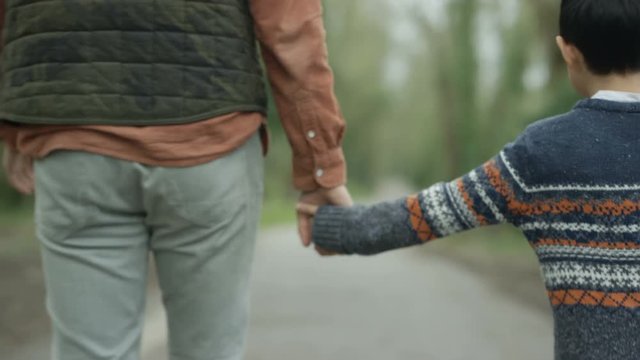  Happy father & son outdoors, holding hands walking in the countryside