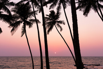 Sunset behind palm trees on Arambol Beach, Goa
