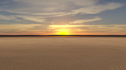 Fototapeta premium 砂漠