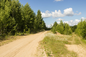 Fototapeta na wymiar Sandy road in the forest area