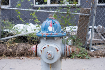 Fire Hydrant