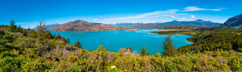 Obraz premium Forest in Torres del Paine National Park in Autumn, Patagonia, Chile