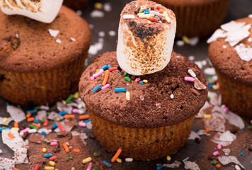Muffins with colorful sprinkles and marshmallows