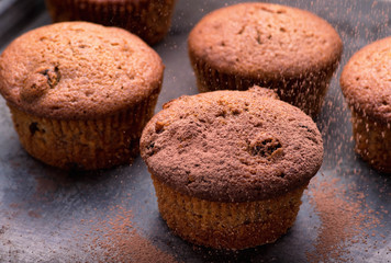 Fresh baked blueberry muffins served on a oven-tray