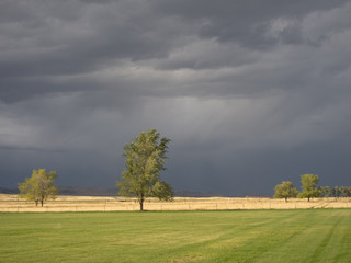Snowville, Utah Landscape - 8919