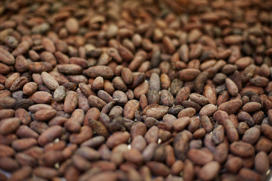 Close up of toast cocoa beans