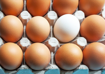 A cardboard box with chicken eggs is brown and white. Distinctive feature. Differences.