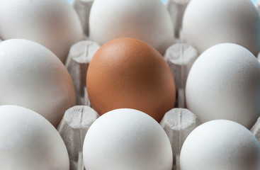 A cardboard box with chicken eggs is brown and white. Distinctive feature. Differences.