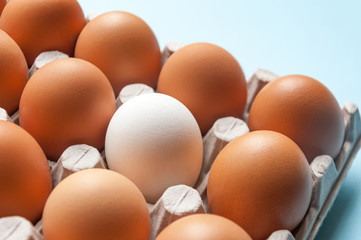A cardboard box with chicken eggs is brown and white. Distinctive feature. Differences.