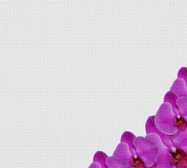 Pink Phalaenopsis orchids on white mosaic tiles. Vector isolated object