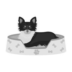 Lounger for a pet, a sleeping place. Dog,care of a pet single icon in monochromt style vector symbol stock illustration web.