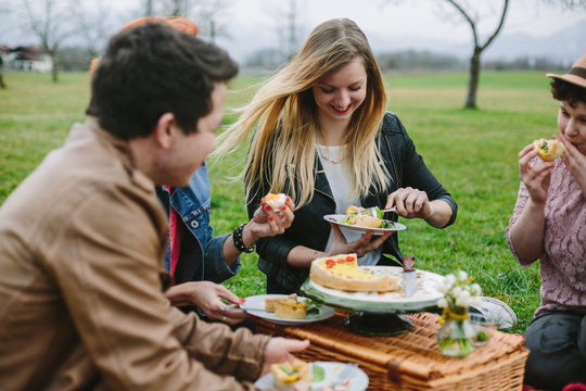 group of friends having fun and a  picnic outdoors