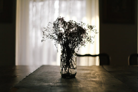 Flowers in a jar, contra light 