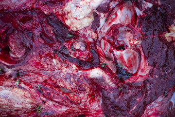 flies on fresh meat close-up.