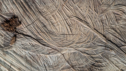 wood carving background