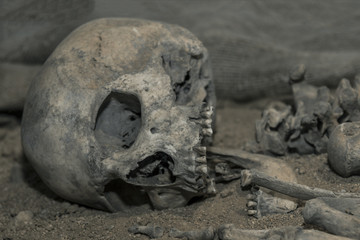 Fototapeta na wymiar Archaeologists excavated the skeleton of a Neanderthal bones and skull with an open mouth in the ground. Prehistoric, Stone Age, Ice Age. Caveman