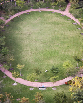 Round Dog Park