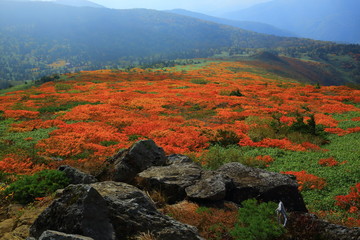 紅葉の三ツ石山