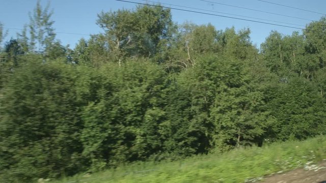 POV: High-speed Train moves past a trees in a summer day