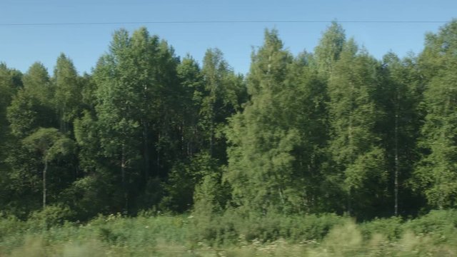 POV: High-speed Train moves past a woods and a village