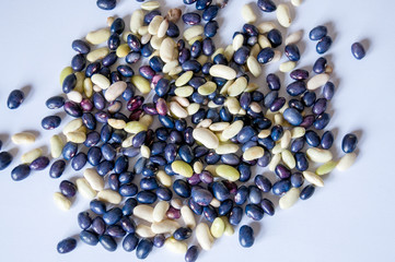 Lot of blue and green beans on a white background