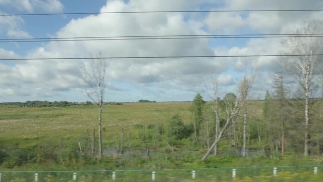POV: High-speed Train fast moves past a trees and a fields in the summer day