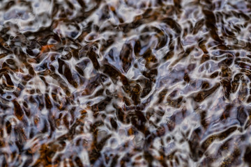 Macro close up picture of running water in the forrest.