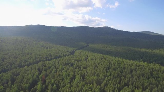 Aerial view overhand the green forest and river. Beautiful panoramic video over the tops of pine forest. Aerial view