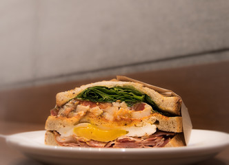 Close up of delicious club Sandwich