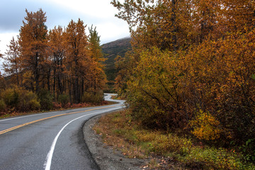 Curvy road through autumn colors