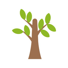 Tree eco symbol icon vector illustration graphic design