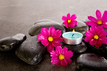 Pink Cosmos Flowers with black massage rocks, blue tealight candle with water droplets