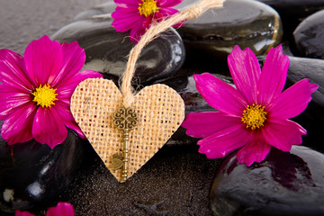 Fototapeta na wymiar Pink Cosmos Flowers and burlap shape heart with brass key on black massage rocks