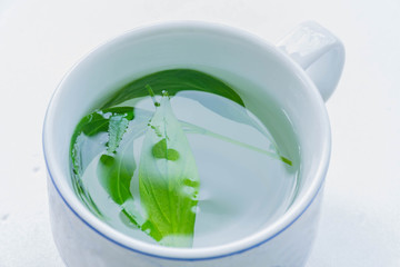 The soft blurred and soft focus cup of green tea, Kariya , The Creat,Andrographis...