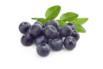 Blueberries with branch