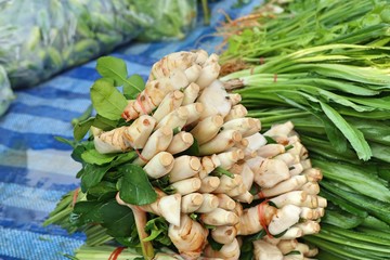 Lemongrass and galangal at the market