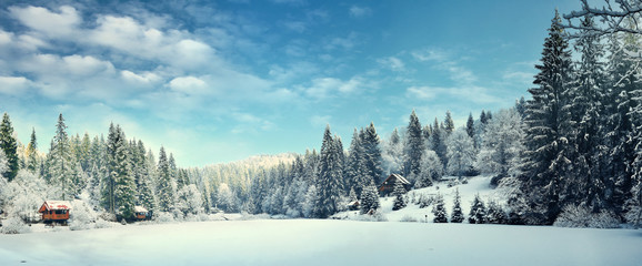 Зимний лес в Карпатах на озере Vito - obrazy, fototapety, plakaty