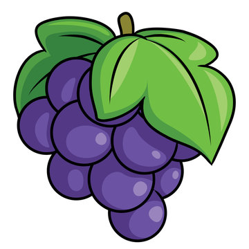 Featured image of post Cartoon Picture Of Grapes Check out our picture of grapes selection for the very best in unique or custom handmade pieces from our shops