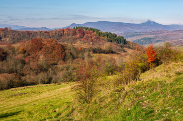 autumn forest with red foliage on hillside. beautiful nature scenery in mountains on warm a sunny...